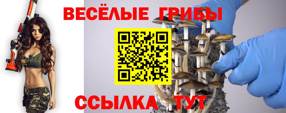 Галлюциногенные грибы Psilocybe  Вход с VPN  Галлюциногенные грибы GOLDEN TEACHER  Северск 